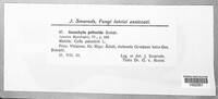 Image Associated With the Occurence